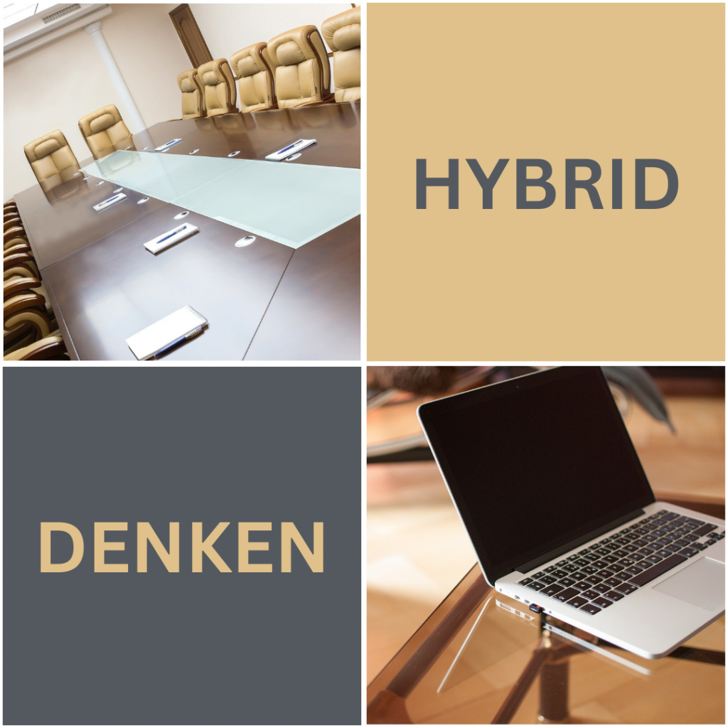 Hybrid Denken